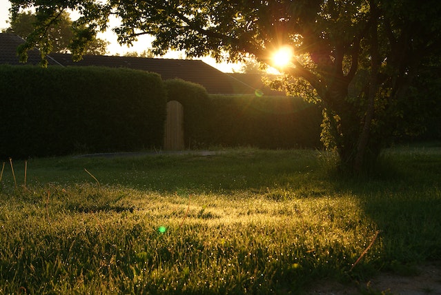 hovenier